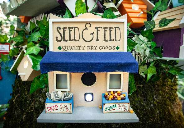 Seed & Feed